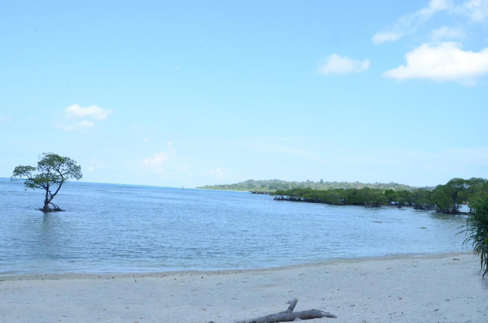 Coconhuts Beach Resort Lakshmanpur Luaran gambar