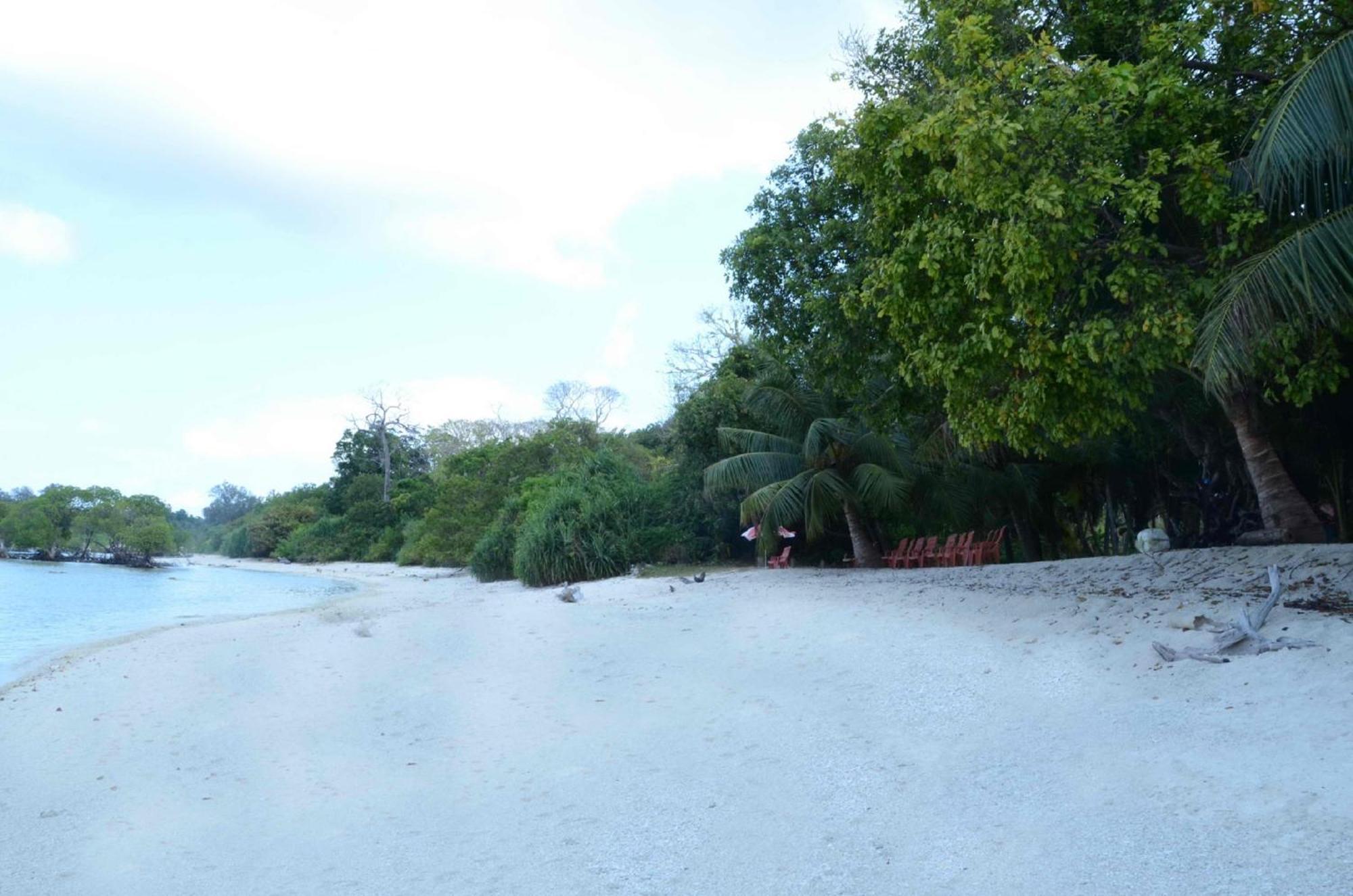 Coconhuts Beach Resort Lakshmanpur Luaran gambar