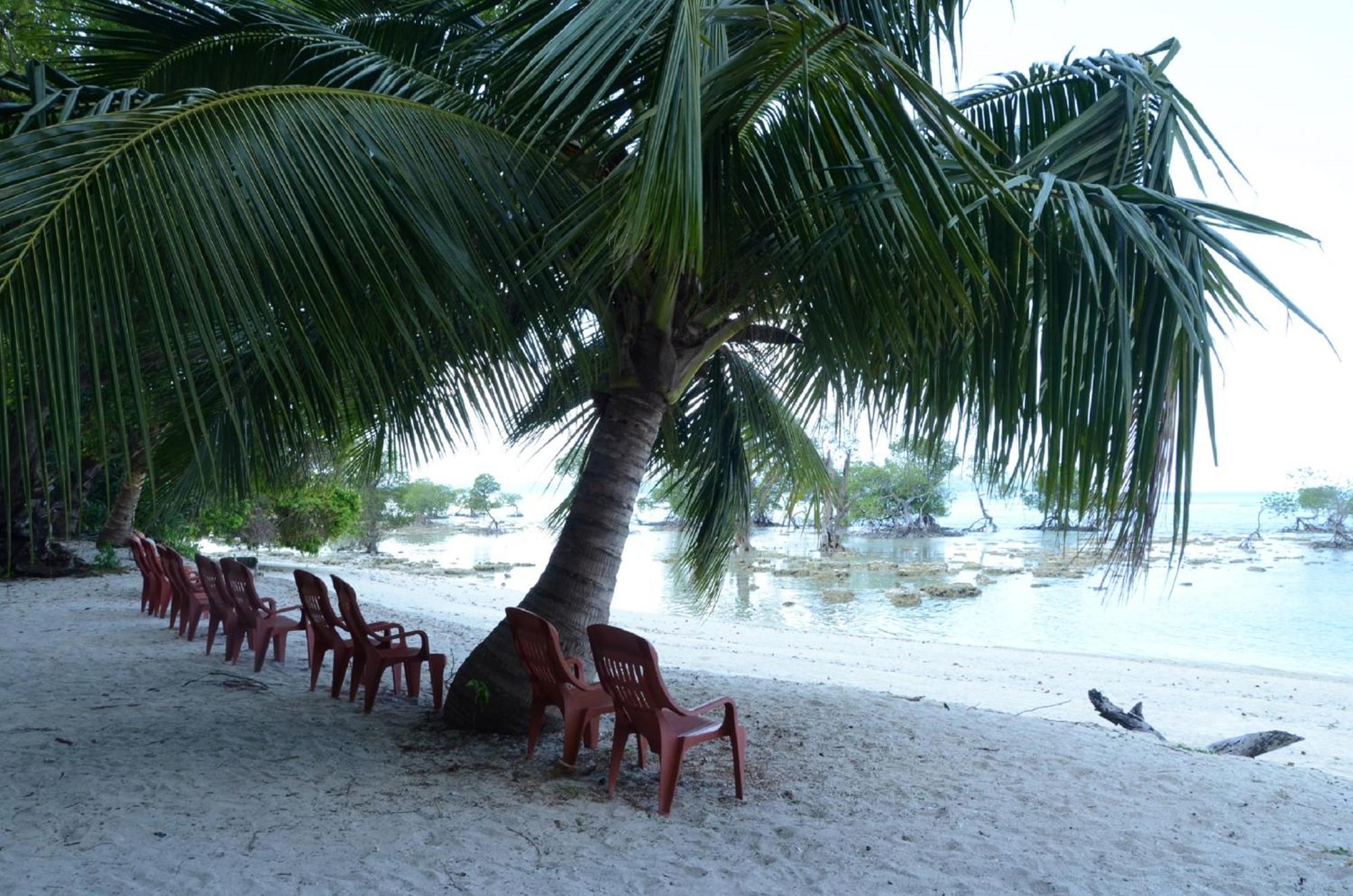 Coconhuts Beach Resort Lakshmanpur Luaran gambar
