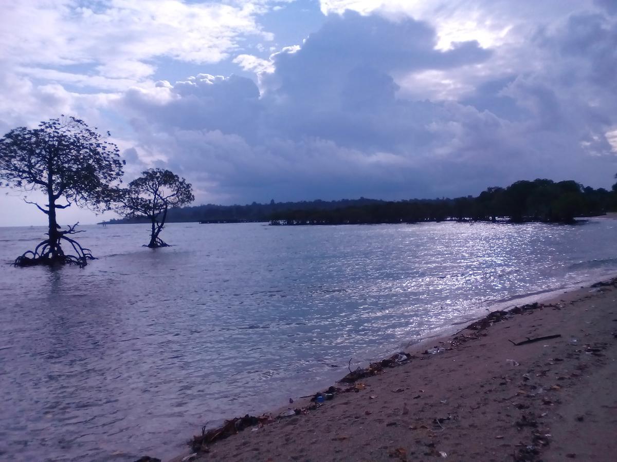 Coconhuts Beach Resort Lakshmanpur Luaran gambar